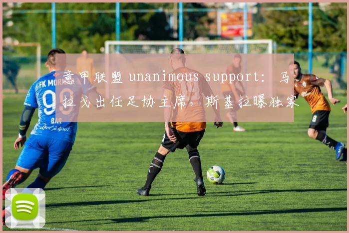 意甲联盟 unanimous support：马拉戈出任足协主席，斯基拉曝独家消息