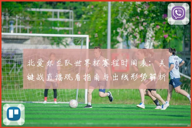北爱尔兰队世界杯赛程时间表：关键战直播观看指南与出线形势解析
