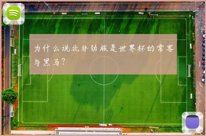 为什么说北非劲旅是世界杯的常客与黑马？