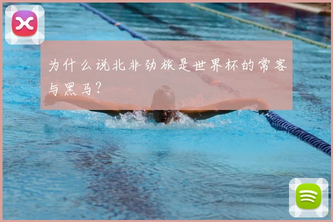 为什么说北非劲旅是世界杯的常客与黑马？
